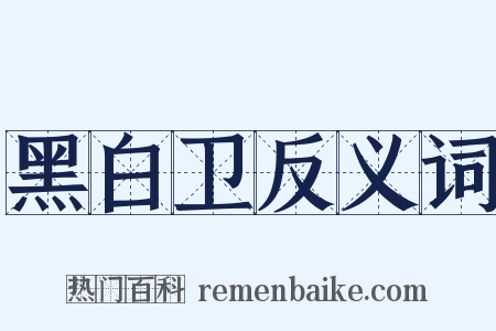 黑白卫反义词是什么意思的图片